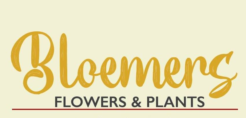 Image of logo for Bloemers