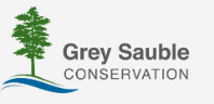 image-of-logo