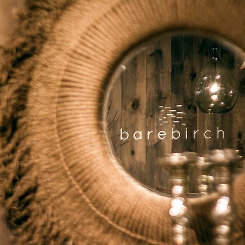 Image of storefront for barebirch